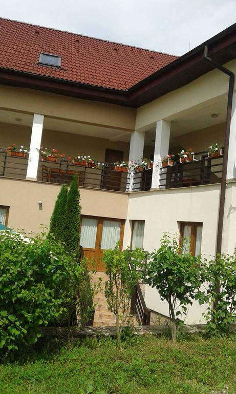 Pension Laura Cheile Turzii Petreştii de Jos Εξωτερικό φωτογραφία