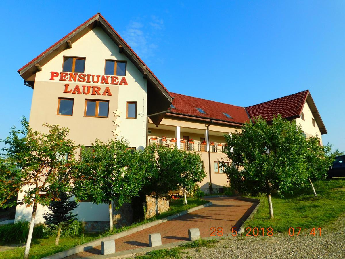 Pension Laura Cheile Turzii Petreştii de Jos Εξωτερικό φωτογραφία