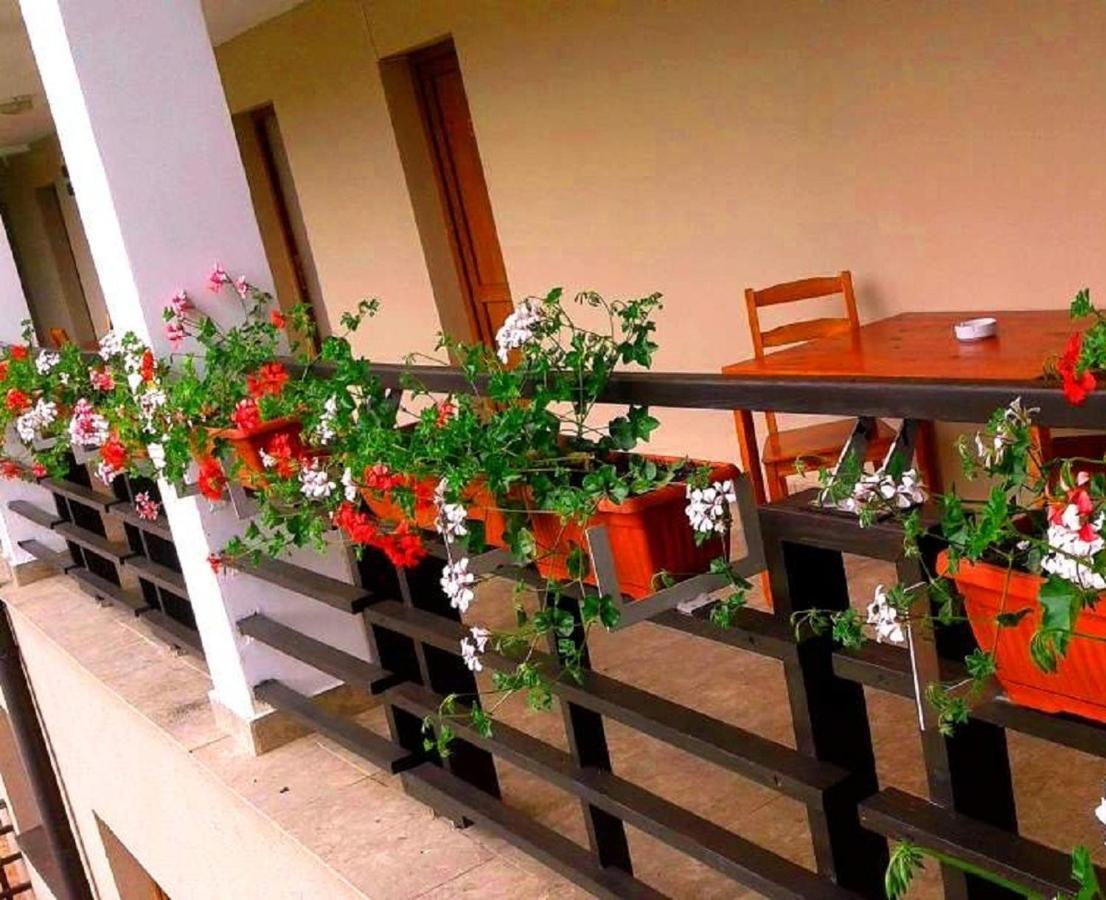 Pension Laura Cheile Turzii Petreştii de Jos Δωμάτιο φωτογραφία